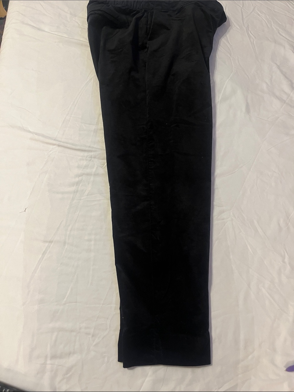 J-Jill Black Velvet Women’s Pants with zip-up side and elastic waistband Size 18
